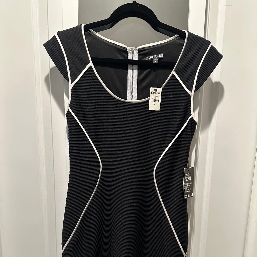 Express Bodycon Dress